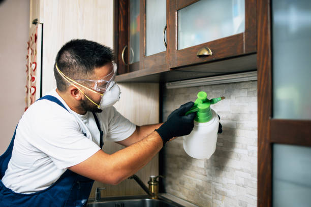 Best Pest Control Near Me in Granite Bay, CA