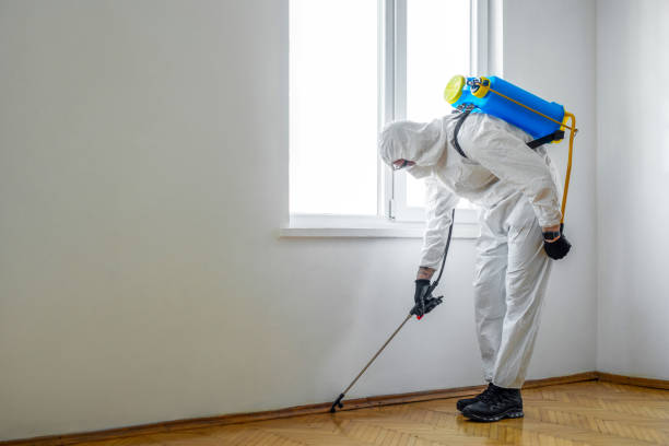 Best Insect Control  in Granite Bay, CA