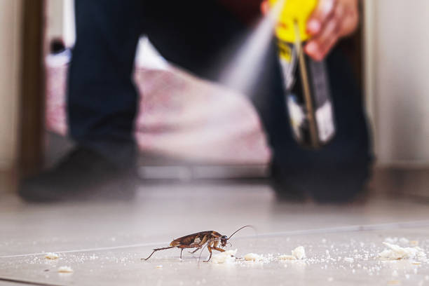 Granite Bay, CA Pest Control Company