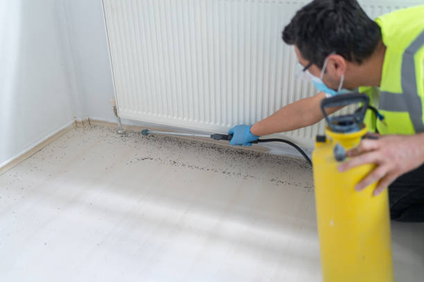 Best Commercial Pest Control Services  in Granite Bay, CA