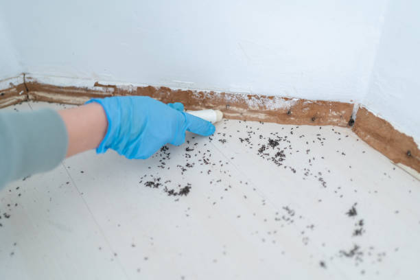 Pest Control Cost in Granite Bay, CA