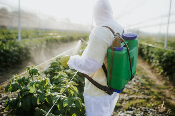 Best Bed Bug Extermination  in Granite Bay, CA